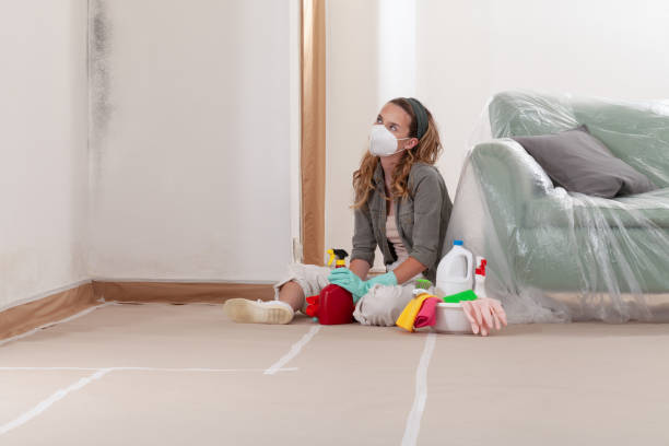 Reliable Black Mold Remediation contractor in Flintstone, MD by Mold Remediation HQ